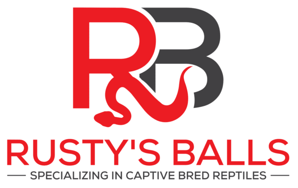 Rusty Balls - Specializing in captive bred reptiles